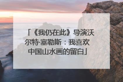 《我仍在此》导演沃尔特·塞勒斯：我喜欢中国山水画的留白
