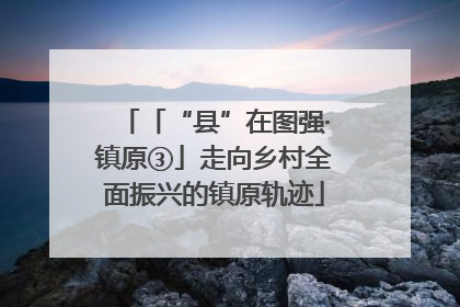 「“县”在图强·镇原③」走向乡村全面振兴的镇原轨迹