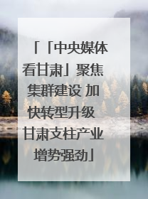 「中央媒体看甘肃」聚焦集群建设 加快转型升级 甘肃支柱产业增势强劲