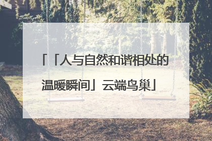 「人与自然和谐相处的温暖瞬间」云端鸟巢