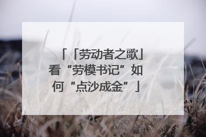 「劳动者之歌」看“劳模书记”如何“点沙成金”