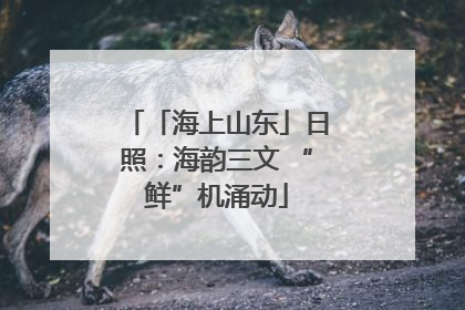 「海上山东」日照：海韵三文 “鲜”机涌动