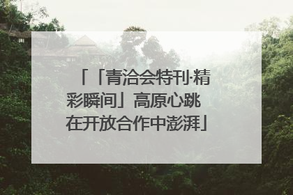 「青洽会特刊·精彩瞬间」高原心跳 在开放合作中澎湃