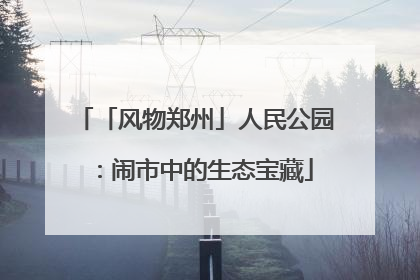 「风物郑州」人民公园：闹市中的生态宝藏