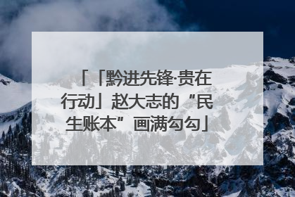 「黔进先锋·贵在行动」赵大志的“民生账本”画满勾勾