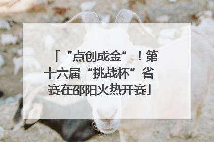 “点创成金”！第十六届“挑战杯”省赛在邵阳火热开赛