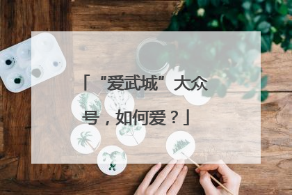 “爱武城”大众号，如何爱？