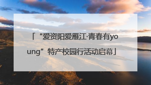 “爱资阳爱雁江·青春有young”特产校园行活动启幕