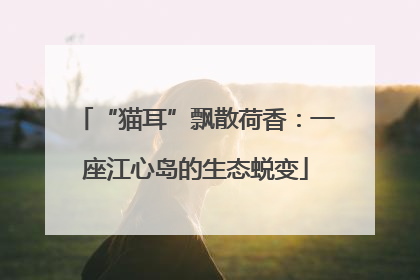 “猫耳”飘散荷香：一座江心岛的生态蜕变