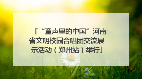 “童声里的中国”河南省文明校园合唱团交流展示活动（郑州站）举行