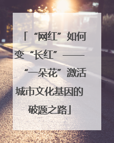 “网红”如何变“长红”——“一朵花”激活城市文化基因的破题之路