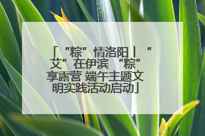 “粽”情洛阳丨“艾”在伊滨 “粽”享露营 端午主题文明实践活动启动
