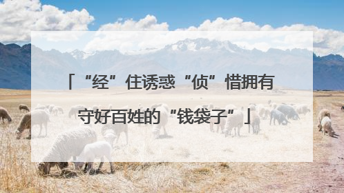 “经”住诱惑“侦”惜拥有 守好百姓的“钱袋子”