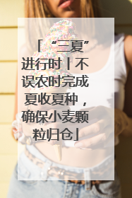 “三夏”进行时丨不误农时完成夏收夏种，确保小麦颗粒归仓