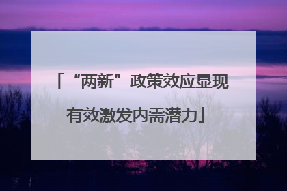 “两新”政策效应显现 有效激发内需潜力