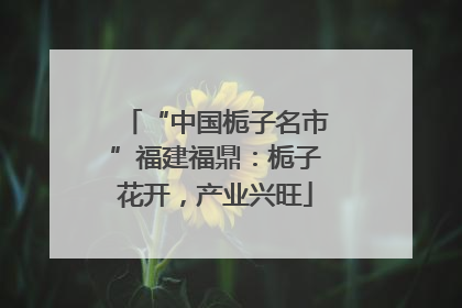 “中国栀子名市”福建福鼎：栀子花开，产业兴旺