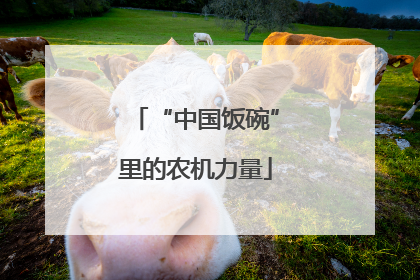 “中国饭碗”里的农机力量