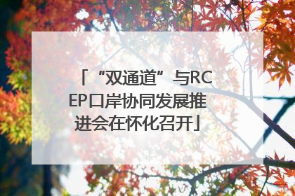 “双通道”与RCEP口岸协同发展推进会在怀化召开