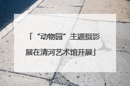 “动物园”主题摄影展在清河艺术馆开展