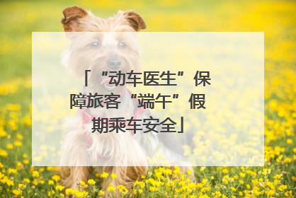 “动车医生”保障旅客“端午”假期乘车安全