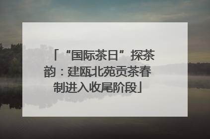 “国际茶日”探茶韵：建瓯北苑贡茶春制进入收尾阶段