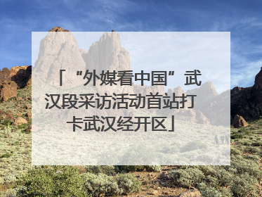 “外媒看中国”武汉段采访活动首站打卡武汉经开区