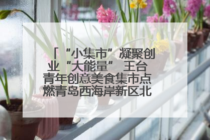 “小集市”凝聚创业“大能量” 王台青年创意美食集市点燃青岛西海岸新区北部新城夜经济