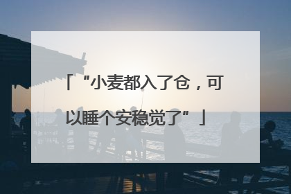 “小麦都入了仓，可以睡个安稳觉了”
