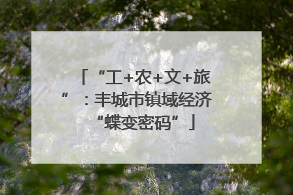 “工+农+文+旅”：丰城市镇域经济“蝶变密码”