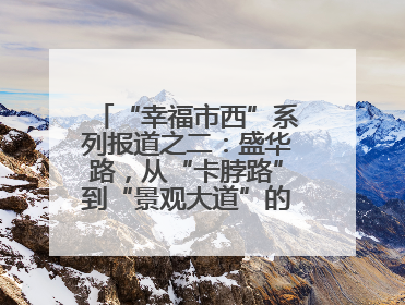 “幸福市西”系列报道之二：盛华路，从“卡脖路”到“景观大道”的华丽转身