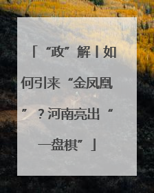 “政”解丨如何引来“金凤凰”？河南亮出“一盘棋”