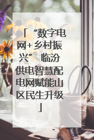 “数字电网+乡村振兴” 临汾供电智慧配电网赋能山区民生升级