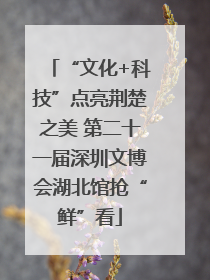 “文化+科技”点亮荆楚之美 第二十一届深圳文博会湖北馆抢“鲜”看