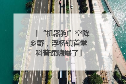 “机器狗”空降乡野，浮桥镇首堂科普课嗨爆了