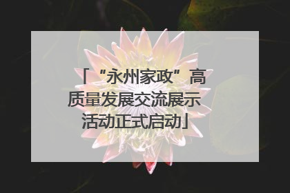 “永州家政”高质量发展交流展示活动正式启动