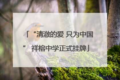 “清澈的爱 只为中国” 祥榕中学正式挂牌