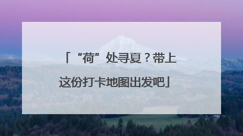 “荷”处寻夏？带上这份打卡地图出发吧