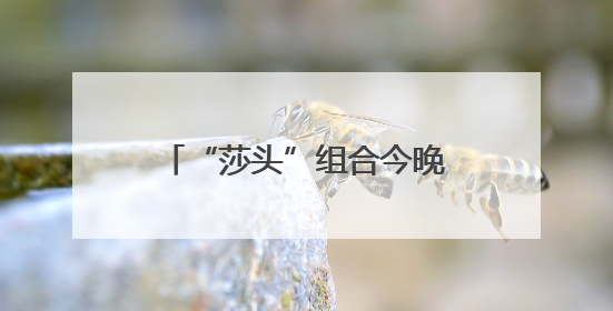 “莎头”组合今晚争世乒赛三连冠