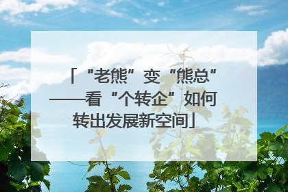 “老熊”变“熊总”——看“个转企”如何转出发展新空间