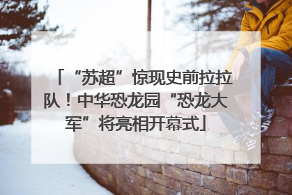“苏超”惊现史前拉拉队！中华恐龙园“恐龙大军”将亮相开幕式