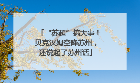 “苏超”搞大事！贝克汉姆空降苏州，还说起了苏州话