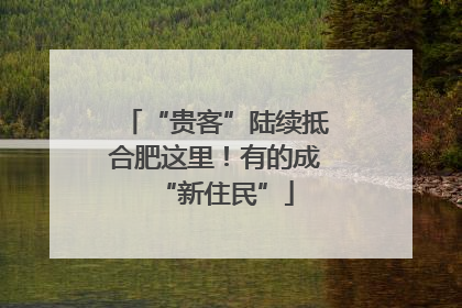 “贵客”陆续抵合肥这里！有的成“新住民”