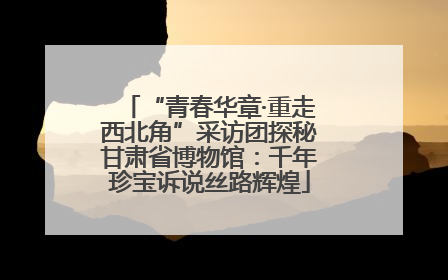 “青春华章·重走西北角”采访团探秘甘肃省博物馆：千年珍宝诉说丝路辉煌