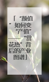 “颜值”如何变“产值”——“赏花热”背后的产业图谱