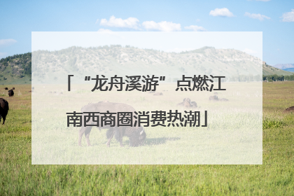 “龙舟溪游”点燃江南西商圈消费热潮