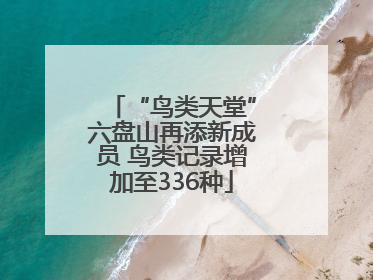 “鸟类天堂”六盘山再添新成员 鸟类记录增加至336种