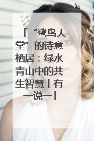 “鹭鸟天堂”的诗意栖居：绿水青山中的共生智慧丨有一说一
