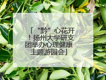“黔”心花开！扬州大学研支团举办心理健康主题游园会