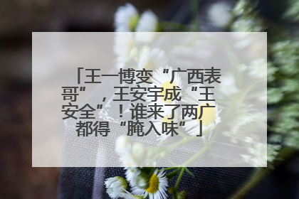 王一博变“广西表哥”，王安宇成“王安全”！谁来了两广都得“腌入味”
