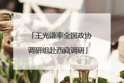 王光谦率全国政协调研组赴西藏调研